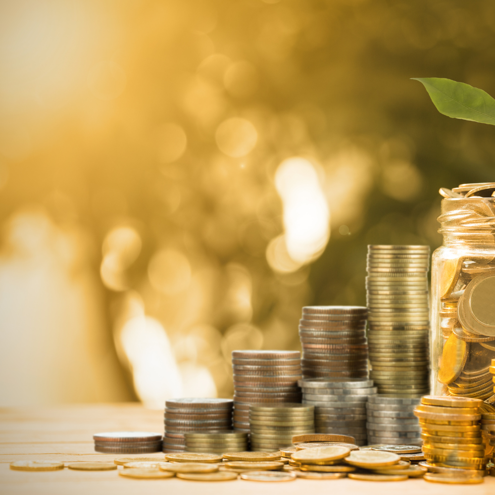 จุดเด่น (Key Strengths)